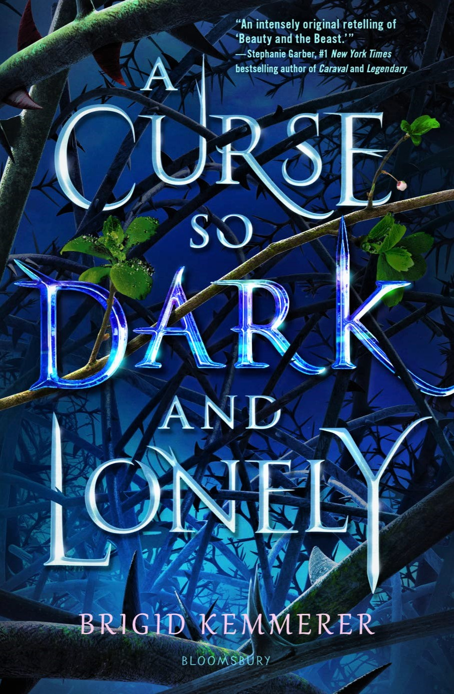 Book Review: A Curse so Dark and Lonely by Brigid Kemmerer